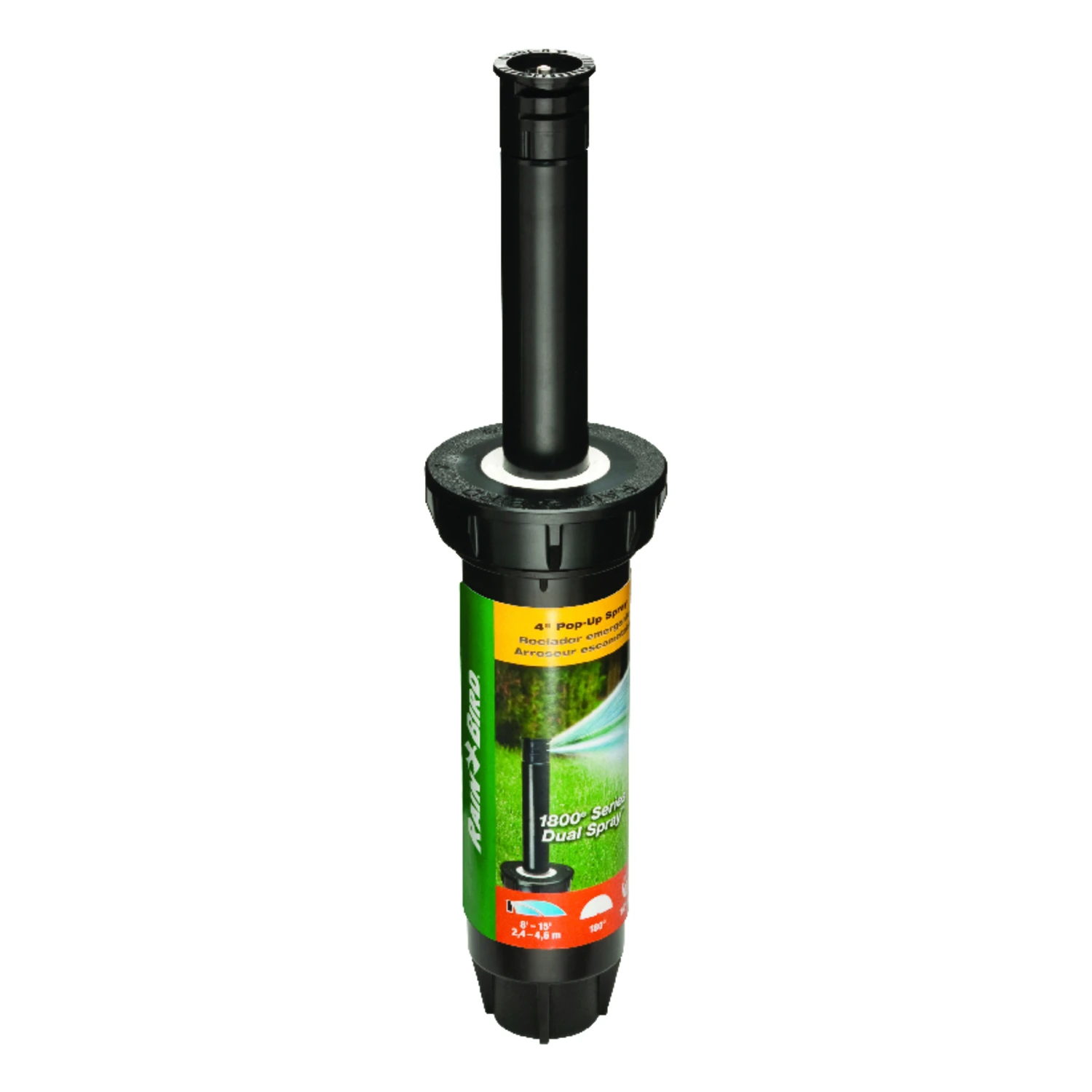 celebrationhardware3893129