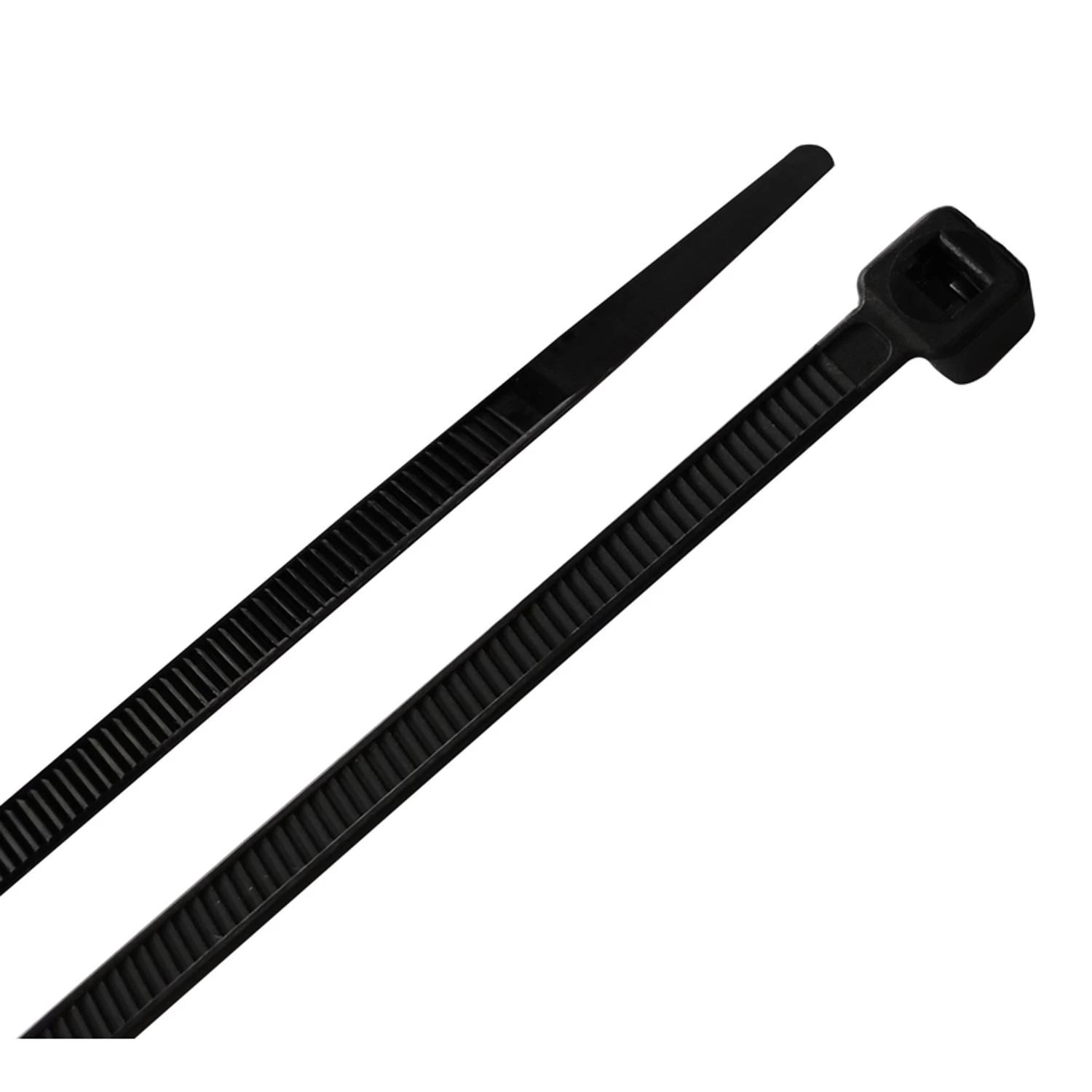 celebrationhardware4041097
