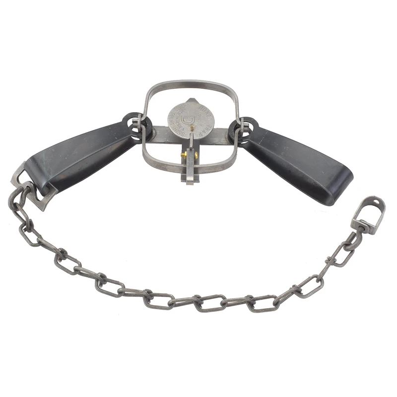 celebrationhardware5030506