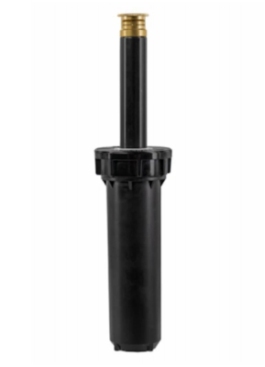 celebrationhardware5296694