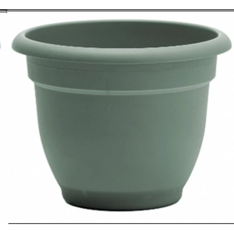 celebrationhardware5516852
