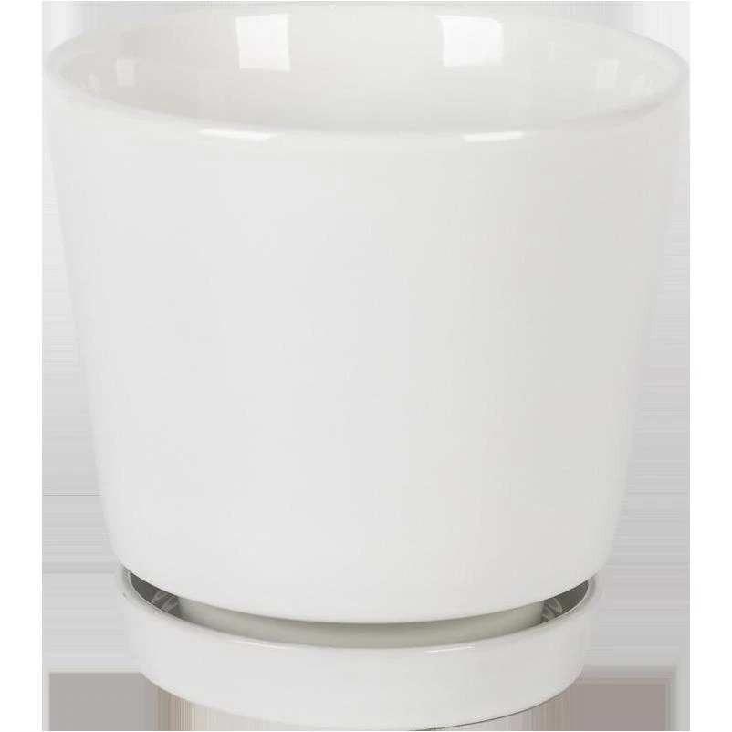 celebrationhardware5517664