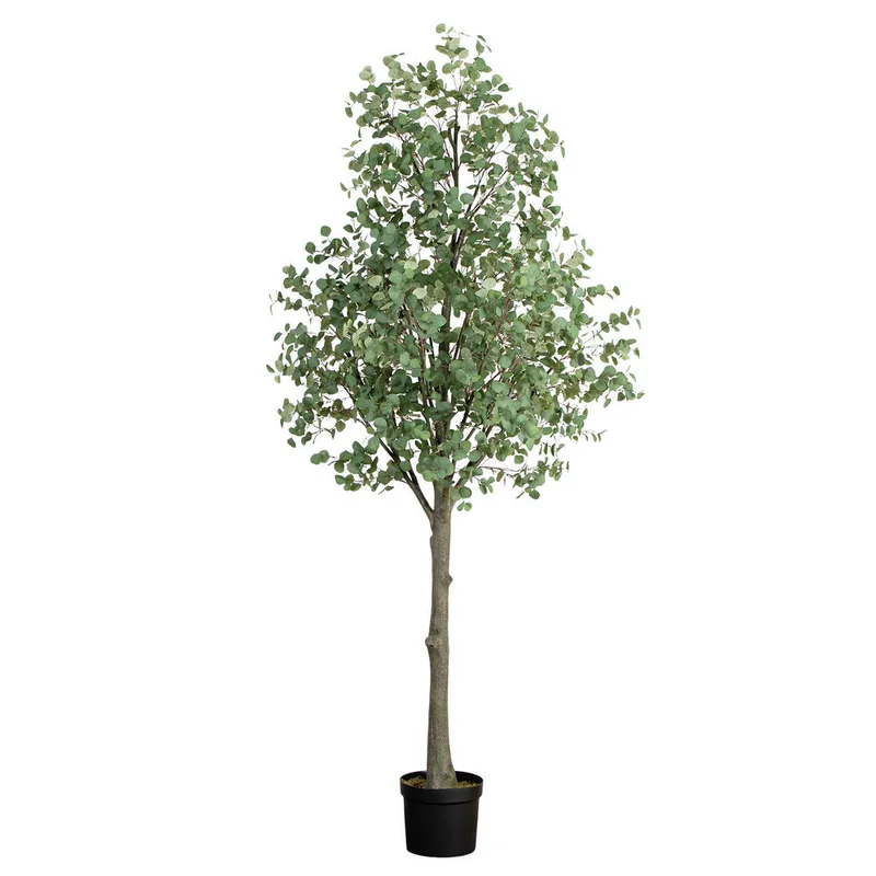 hubert3560679