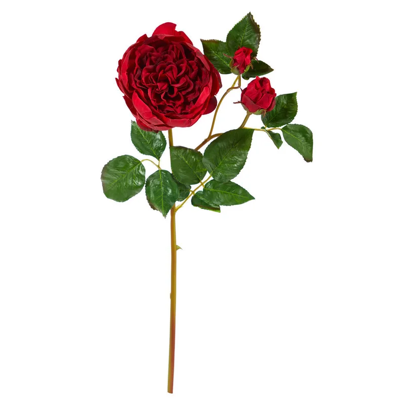 hubert3598503